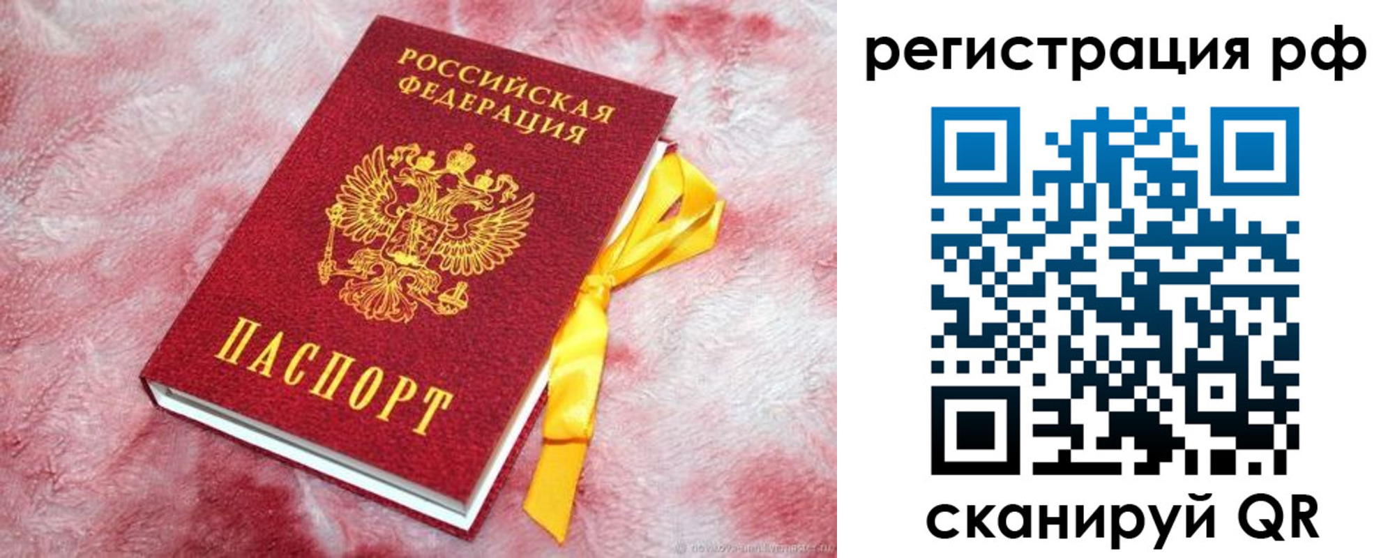 прописка в Шахунье